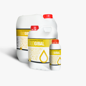 glogibal