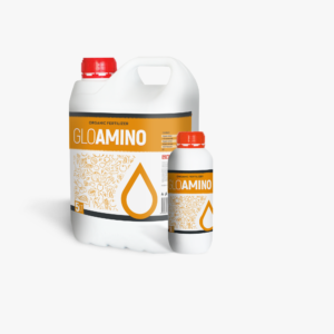 gloamino (2)