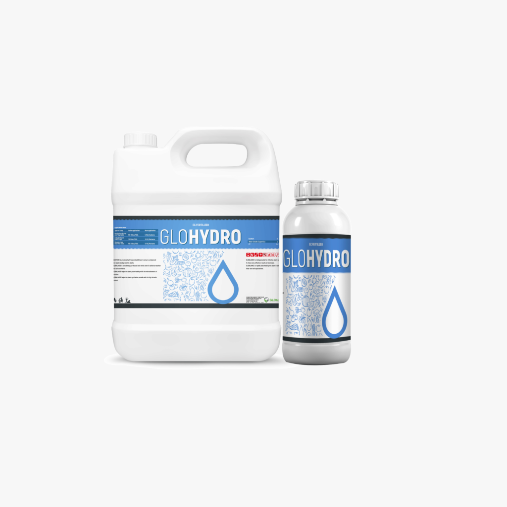 glohydro
