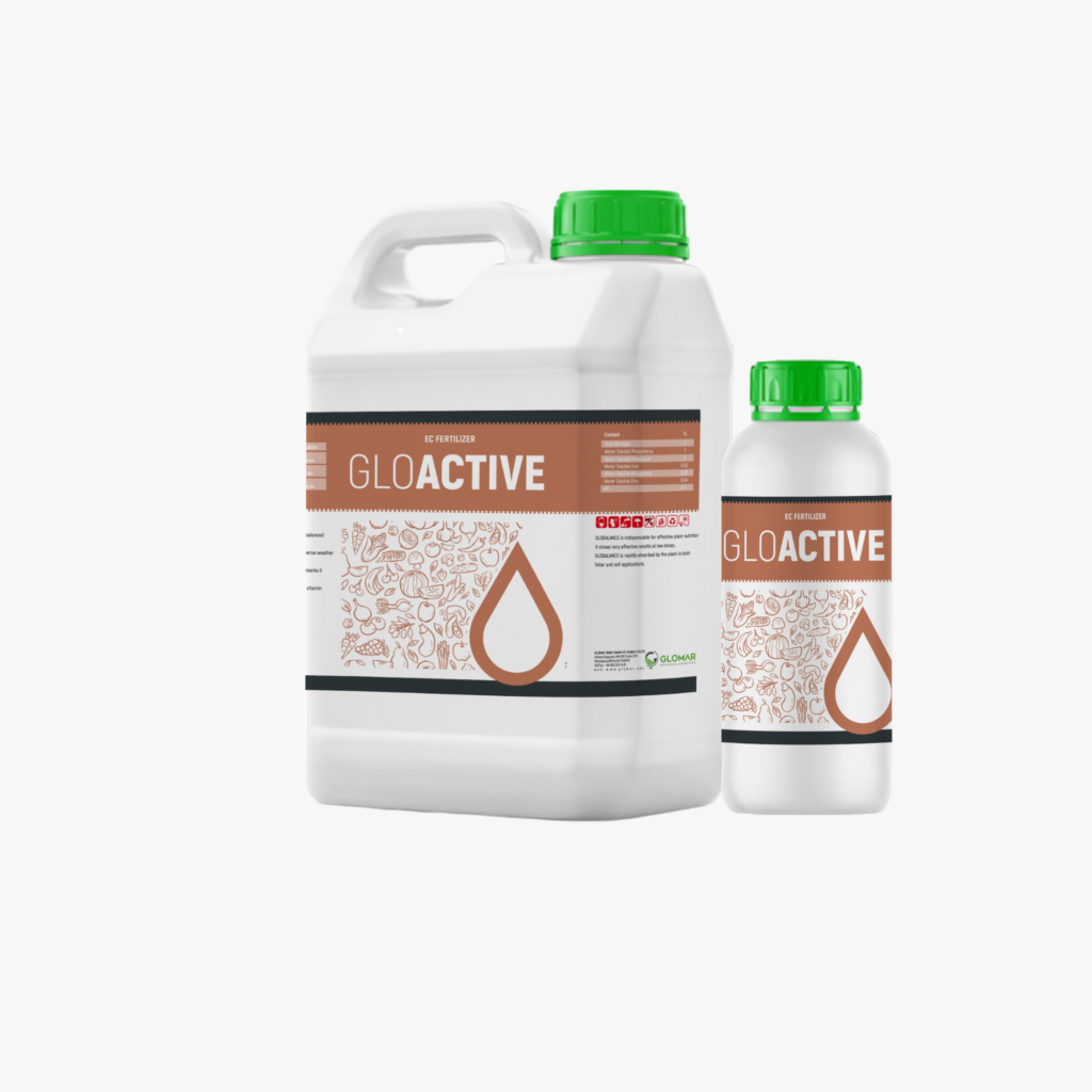 GLOACTIVE
