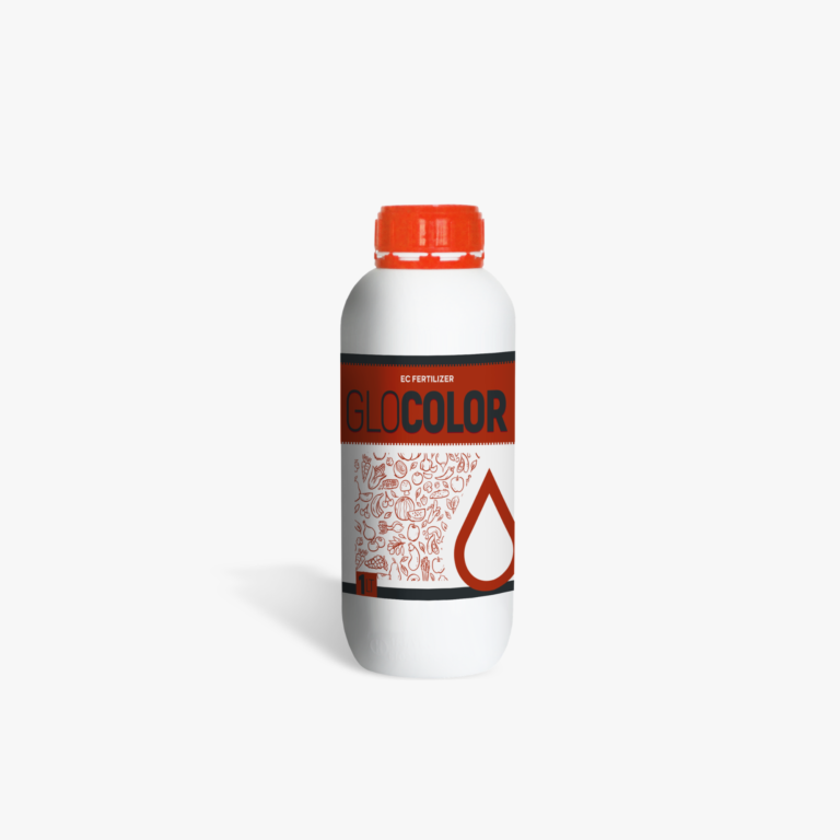 glocolor