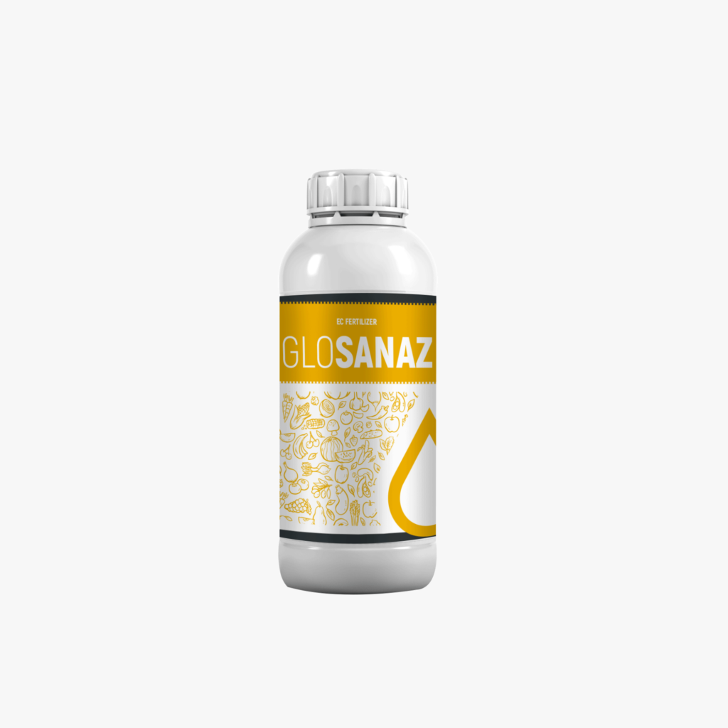 Glosanaz
